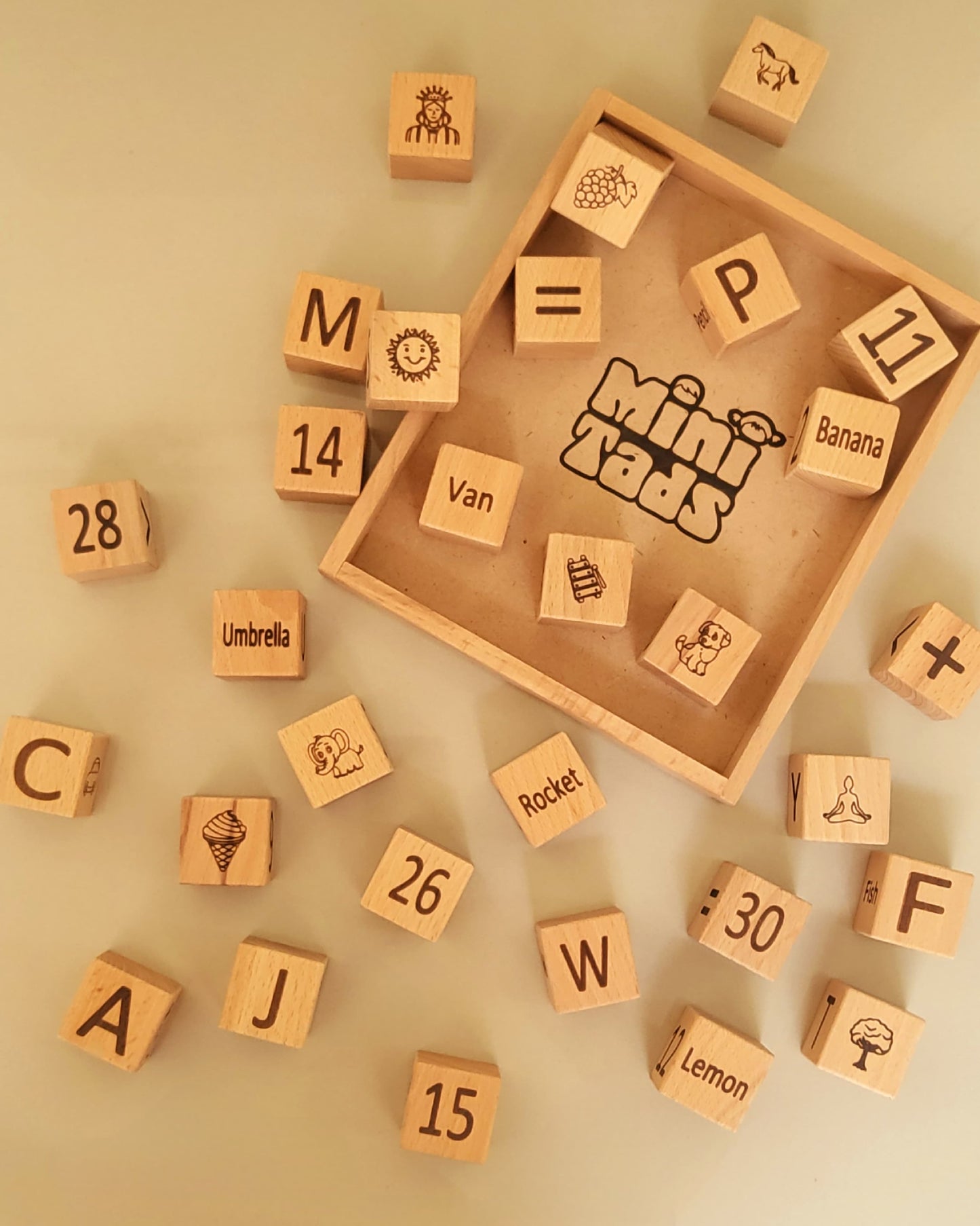 Wooden Learning Blocks – 30 Piece Toy with Tray