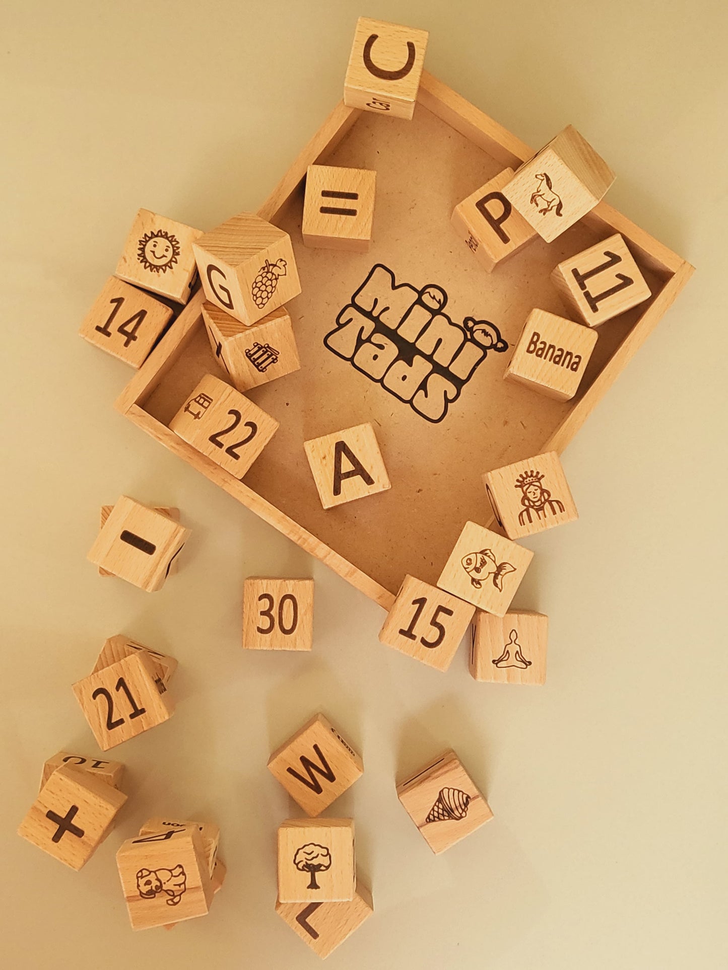 Wooden Learning Blocks – 30 Piece Toy with Tray