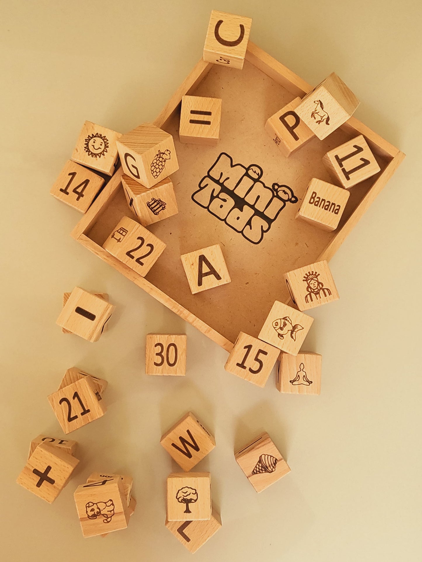 Wooden Learning Blocks – 30 Piece Toy with Tray